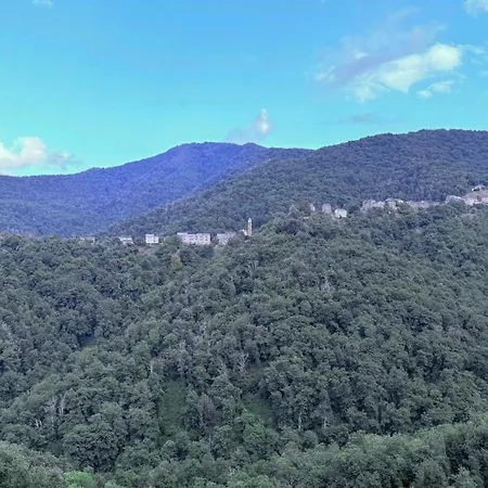 With Vegetable Garden In Castagniccia