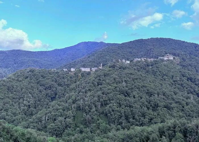 With Vegetable Garden In Castagniccia